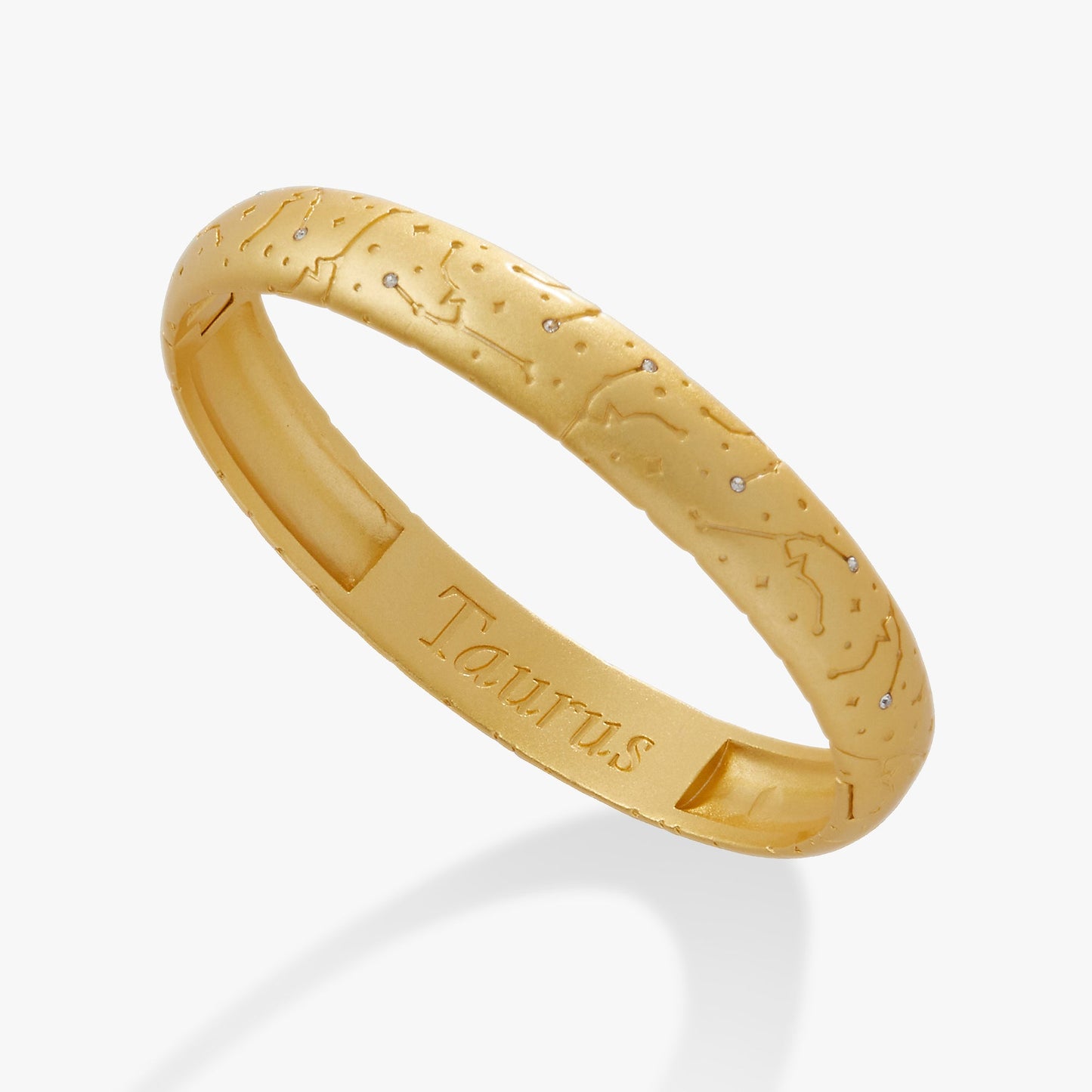 Taurus Zodiac Hinge Bangle ALEX AND ANI