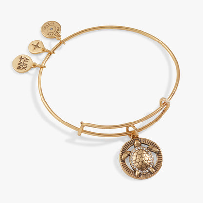 Turtle Charm Bangle ALEX AND ANI