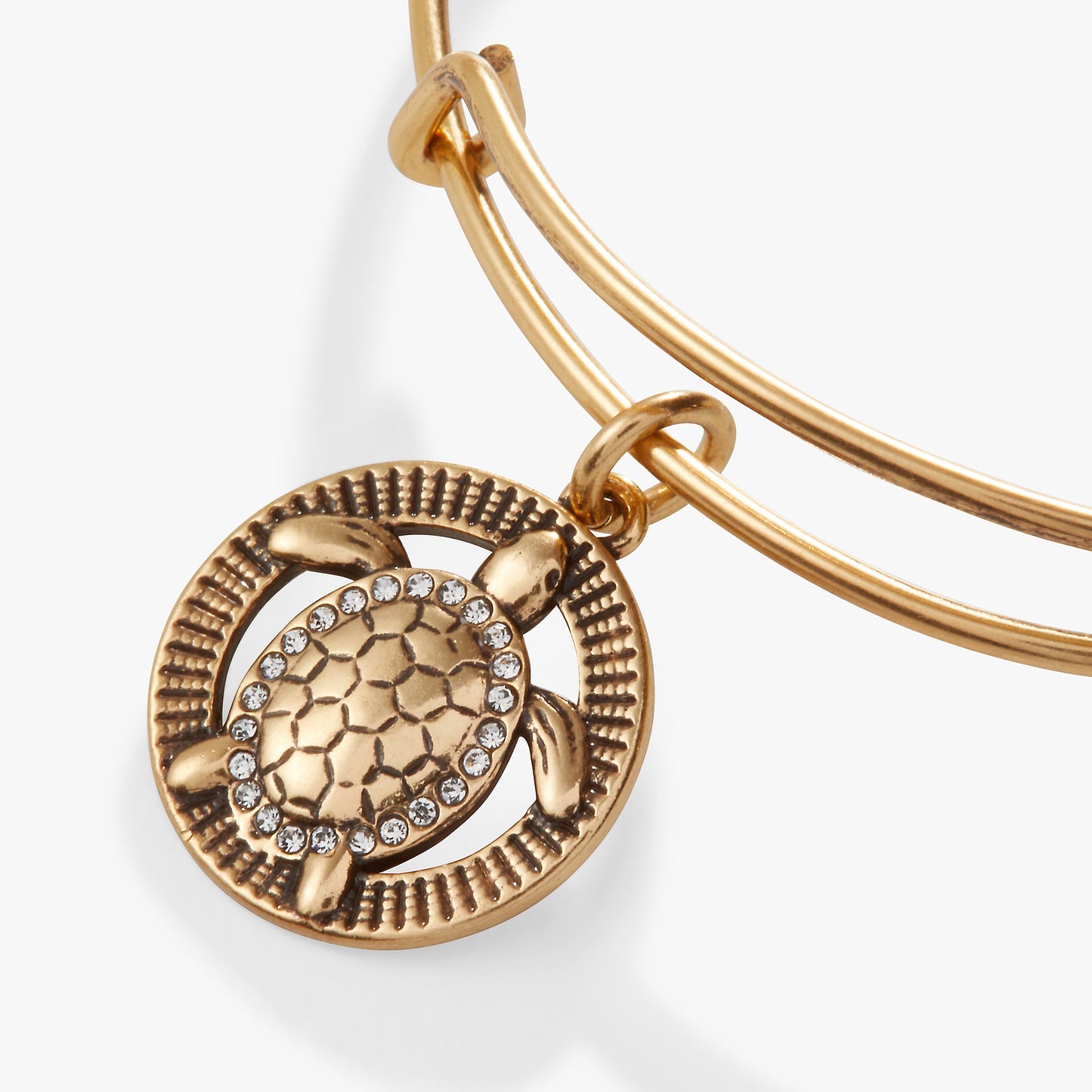 Turtle Charm Bangle ALEX AND ANI