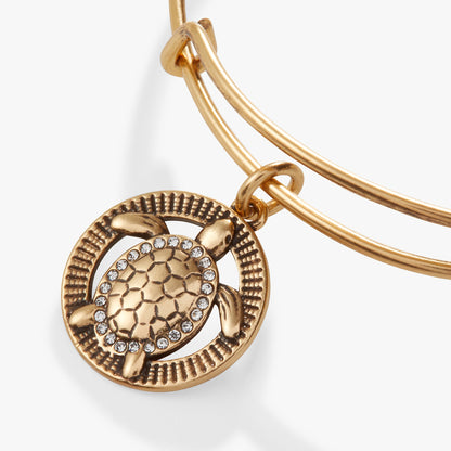 Turtle Charm Bangle ALEX AND ANI