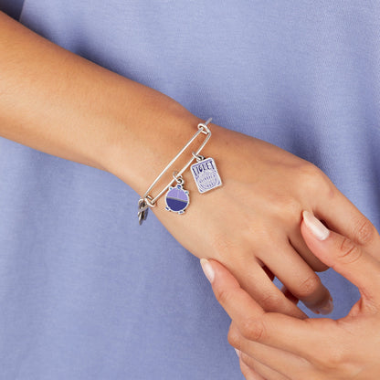 Willy Wonka 'Violet' Duo Charm Bangle ALEX AND ANI