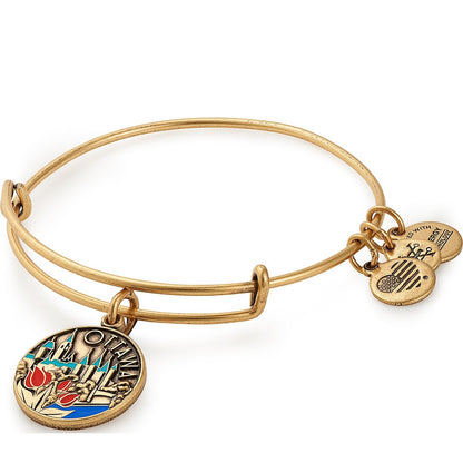 Ottawa Charm Bangle ALEX AND ANI