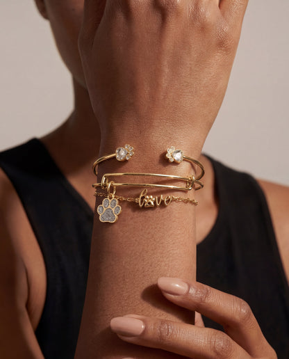 'Paws of Love' Bracelet Set of 3 ALEX AND ANI