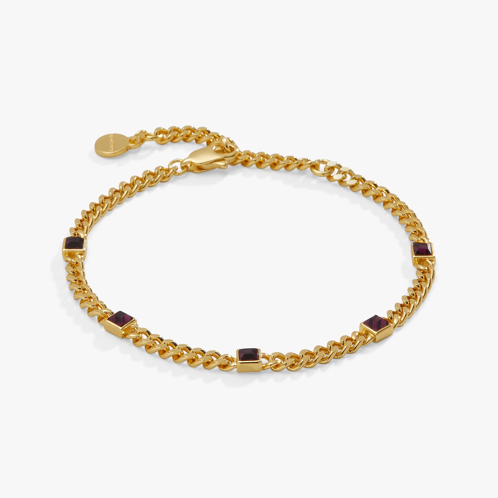 February Birthstone Amethyst Curb Chain Bracelet ALEX AND ANI