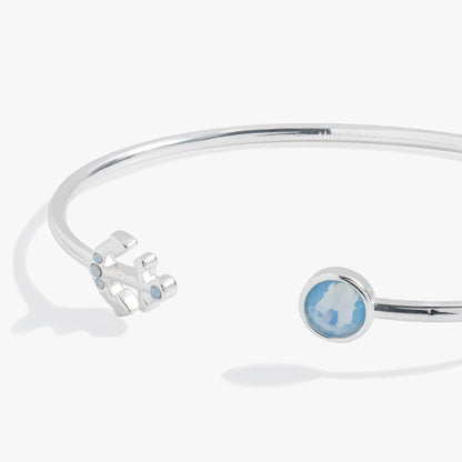 Anchor Flex Cuff ALEX AND ANI