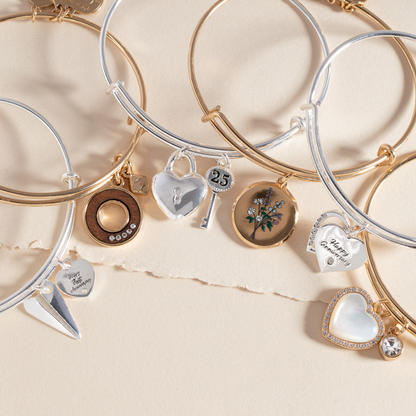25th Anniversary Bangle ALEX AND ANI