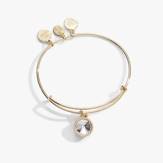 April Clear Crystal Birthstone Charm Bangle ALEX AND ANI