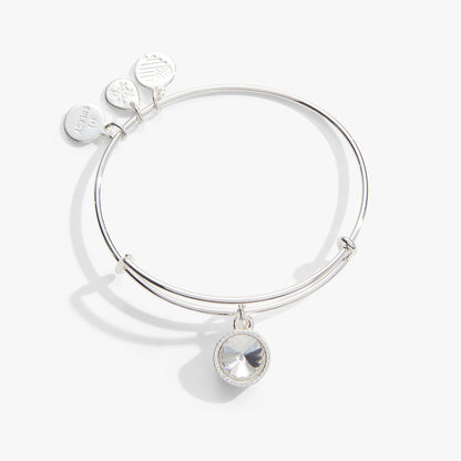 April Clear Crystal Birthstone Charm Bangle ALEX AND ANI