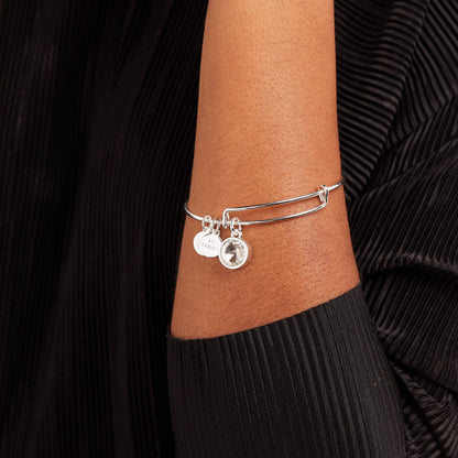 April Clear Crystal Birthstone Charm Bangle ALEX AND ANI