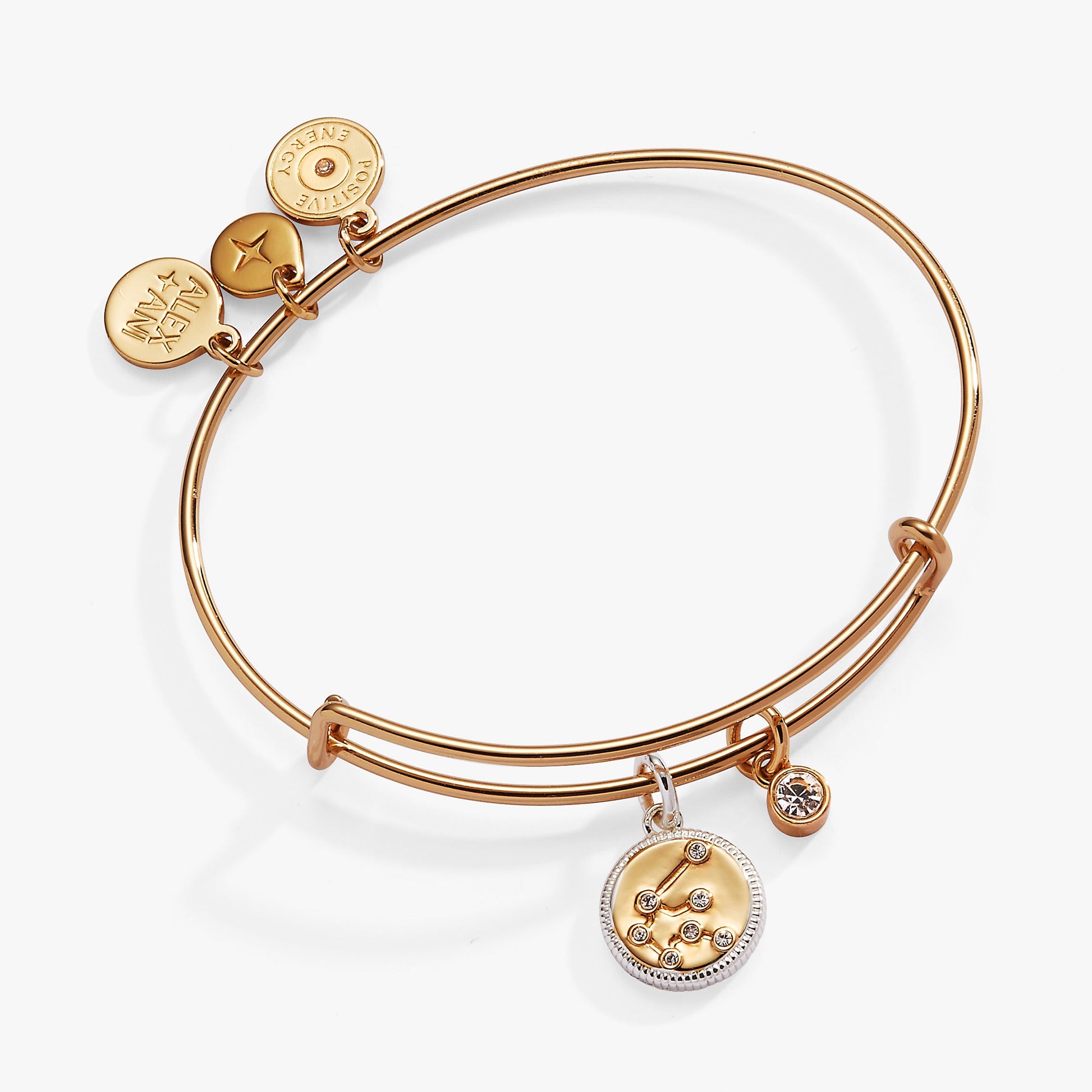 Aquarius Zodiac Charm Bangle ALEX AND ANI