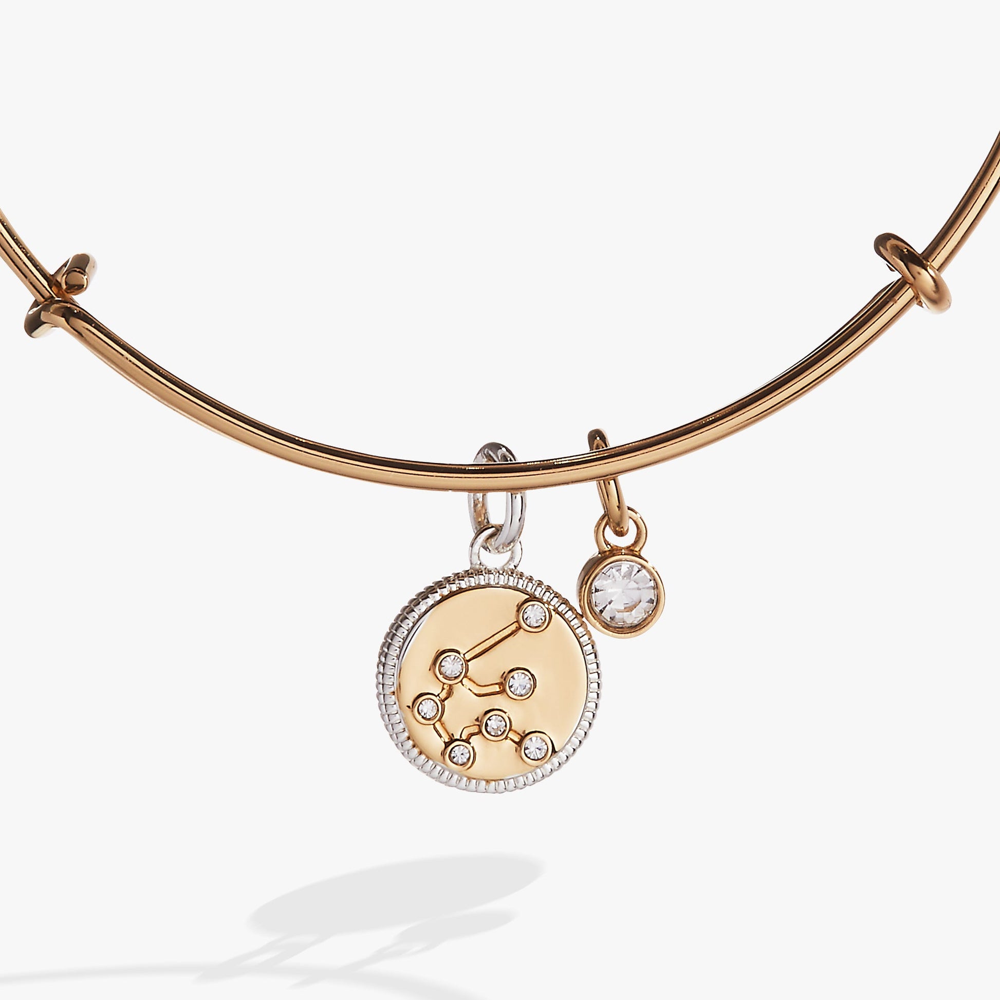 Aquarius Zodiac Charm Bangle ALEX AND ANI