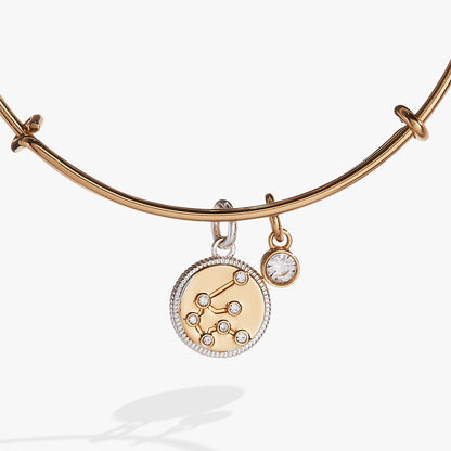 Aquarius Zodiac Charm Bangle ALEX AND ANI