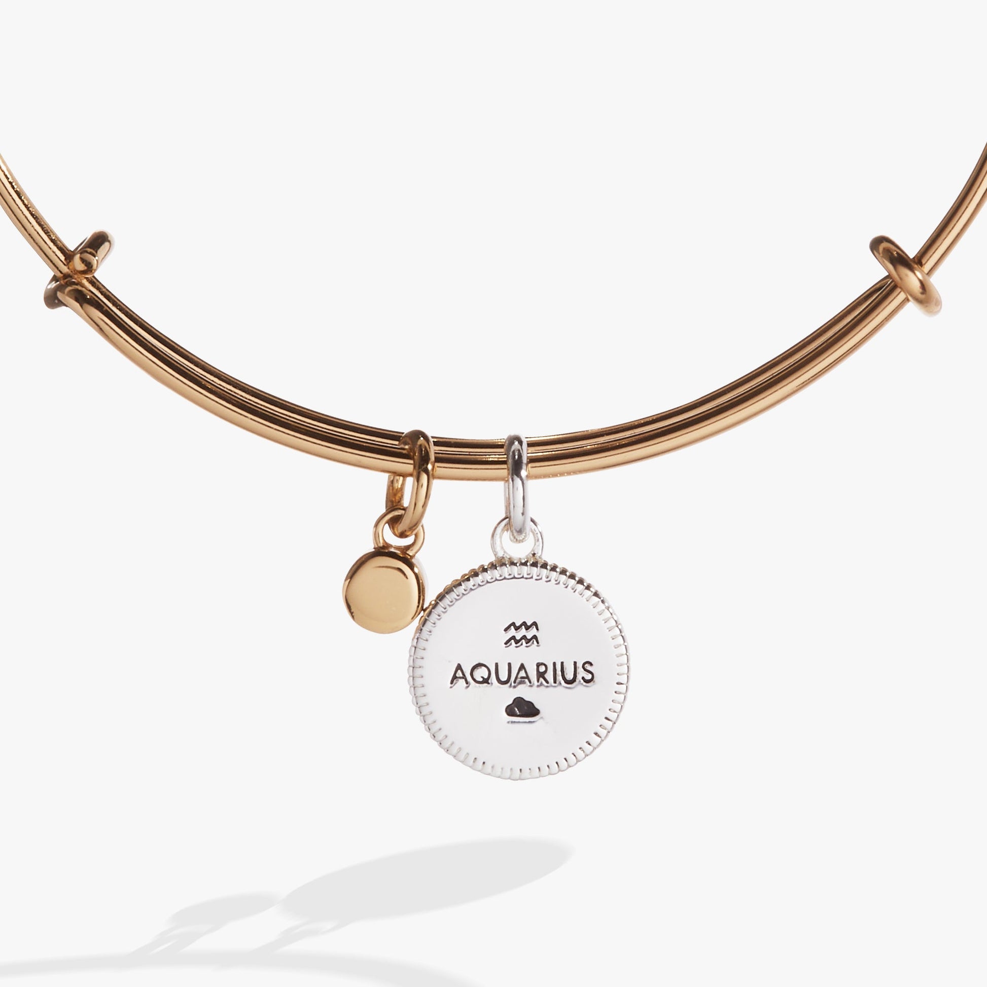 Aquarius Zodiac Charm Bangle ALEX AND ANI