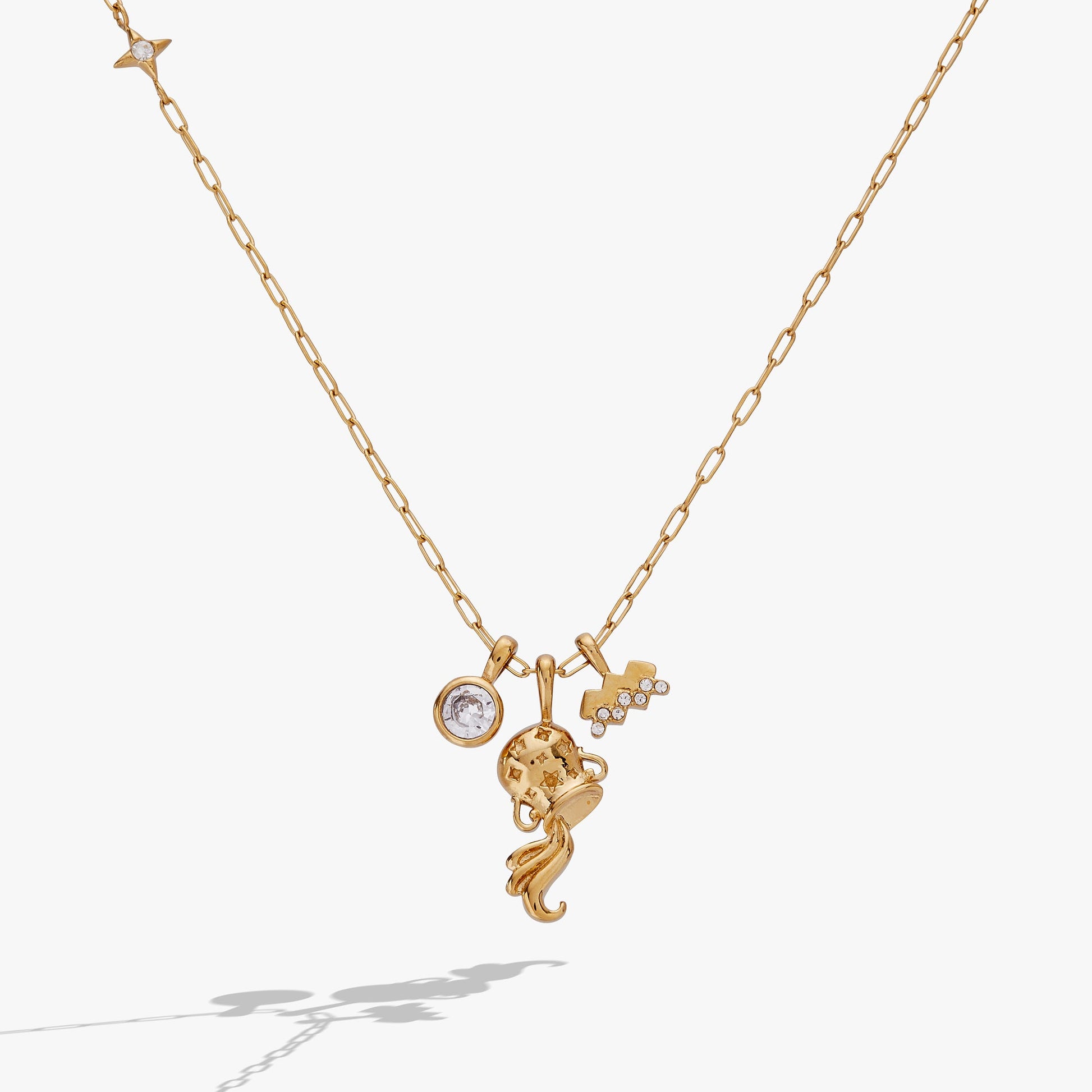 Aquarius Zodiac Charm Cluster Necklace ALEX AND ANI