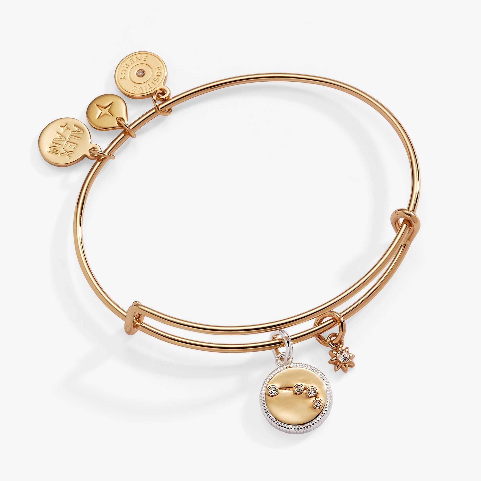 Aries Zodiac Charm Bangle ALEX AND ANI