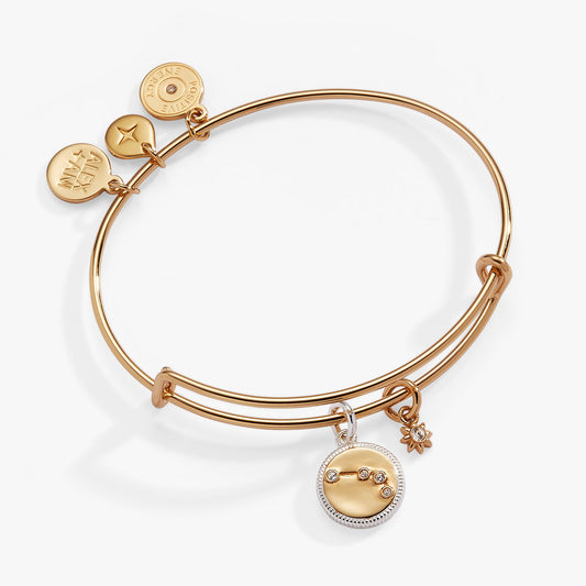Aries Zodiac Charm Bangle ALEX AND ANI