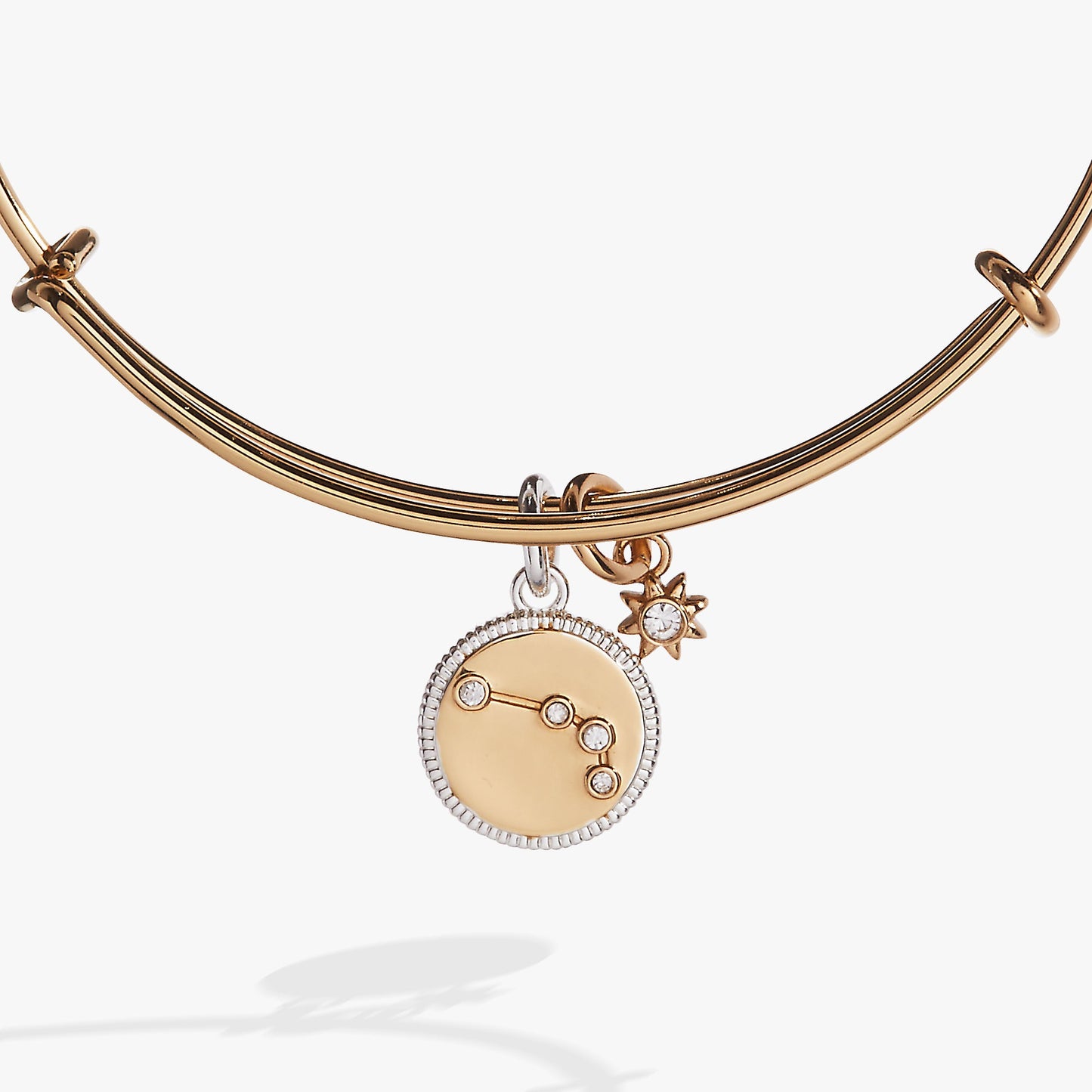 Aries Zodiac Charm Bangle ALEX AND ANI