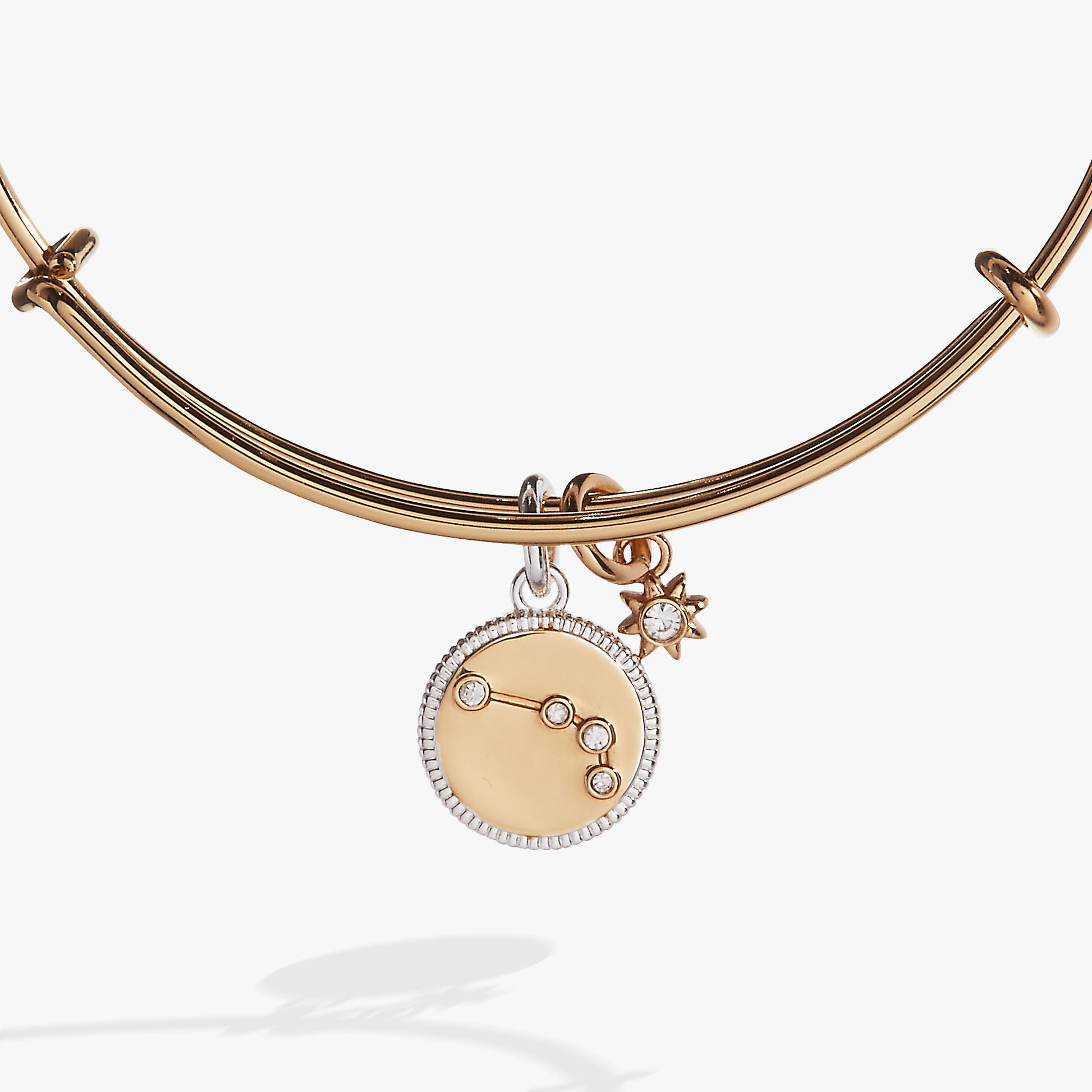 Aries Zodiac Charm Bangle ALEX AND ANI