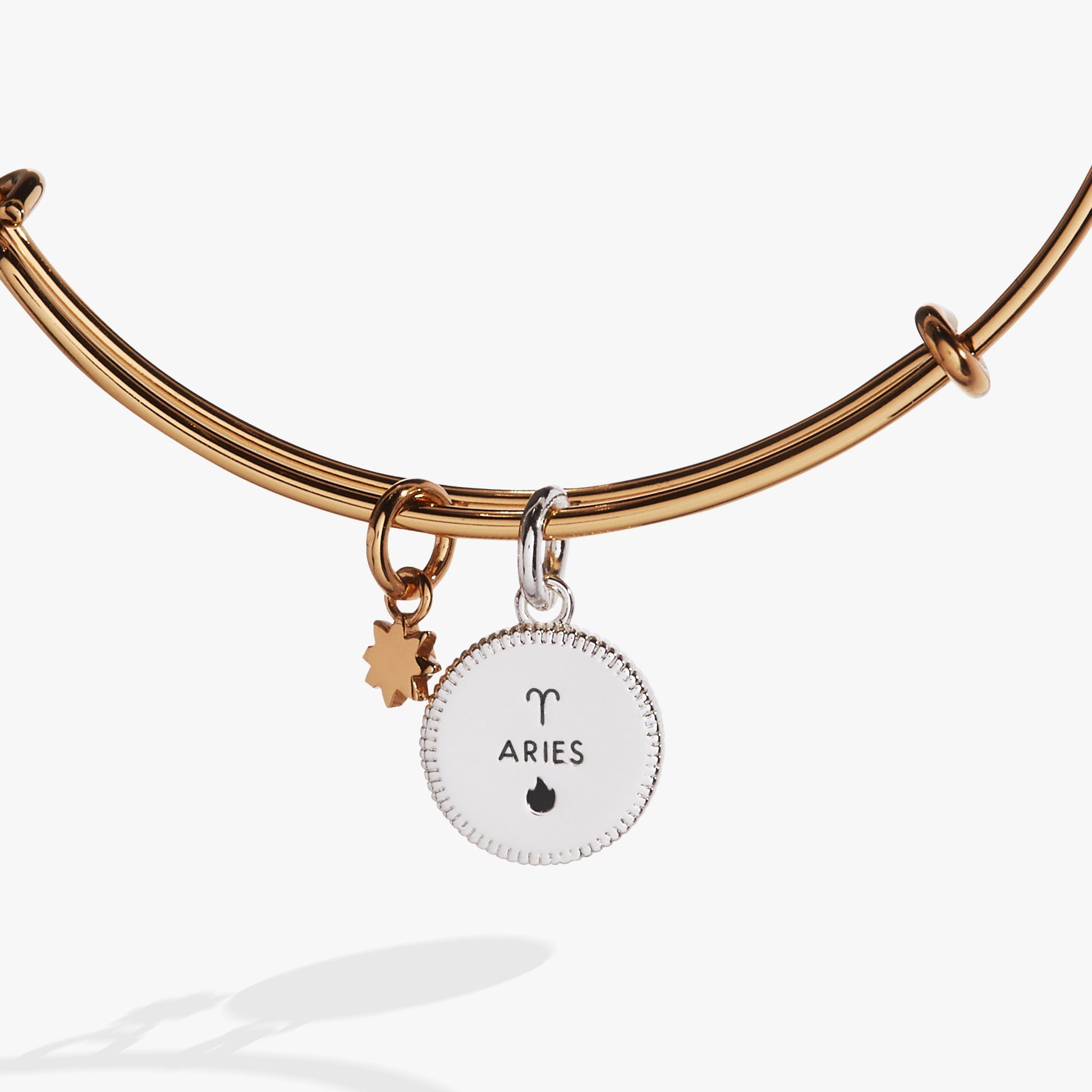 Aries Zodiac Charm Bangle ALEX AND ANI