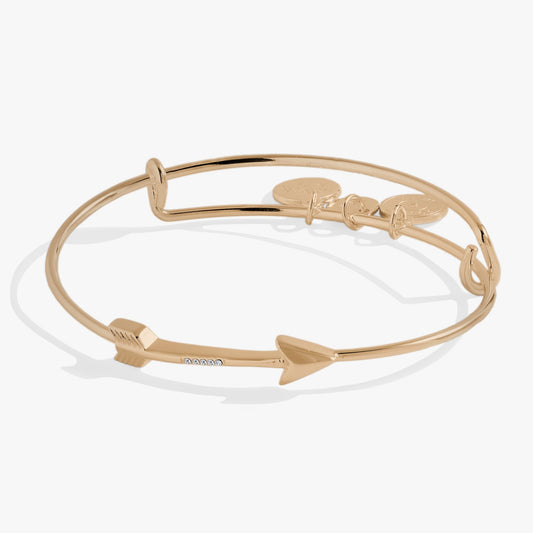 Arrow Inline Bangle ALEX AND ANI