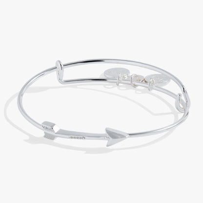 Arrow Inline Bangle ALEX AND ANI