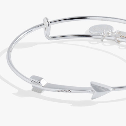 Arrow Inline Bangle ALEX AND ANI