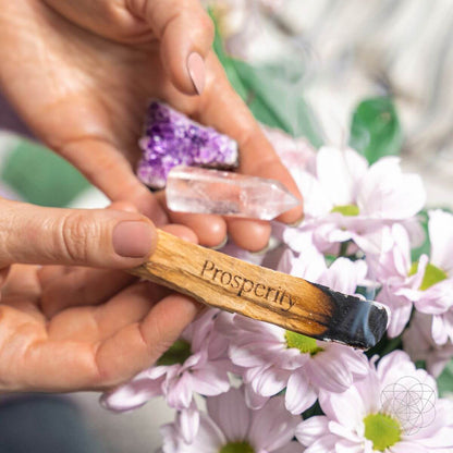Attract Abundance - Premium Manifestation Smudge Kit (8 Pieces) Conscious Items