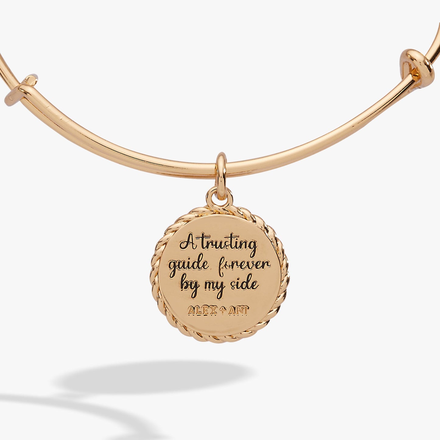Aunt 'A Trusting Guide Forever By My Side' Charm Bangle ALEX AND ANI