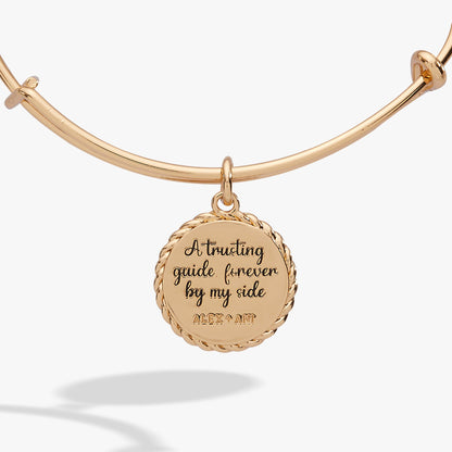 Aunt 'A Trusting Guide Forever By My Side' Charm Bangle ALEX AND ANI