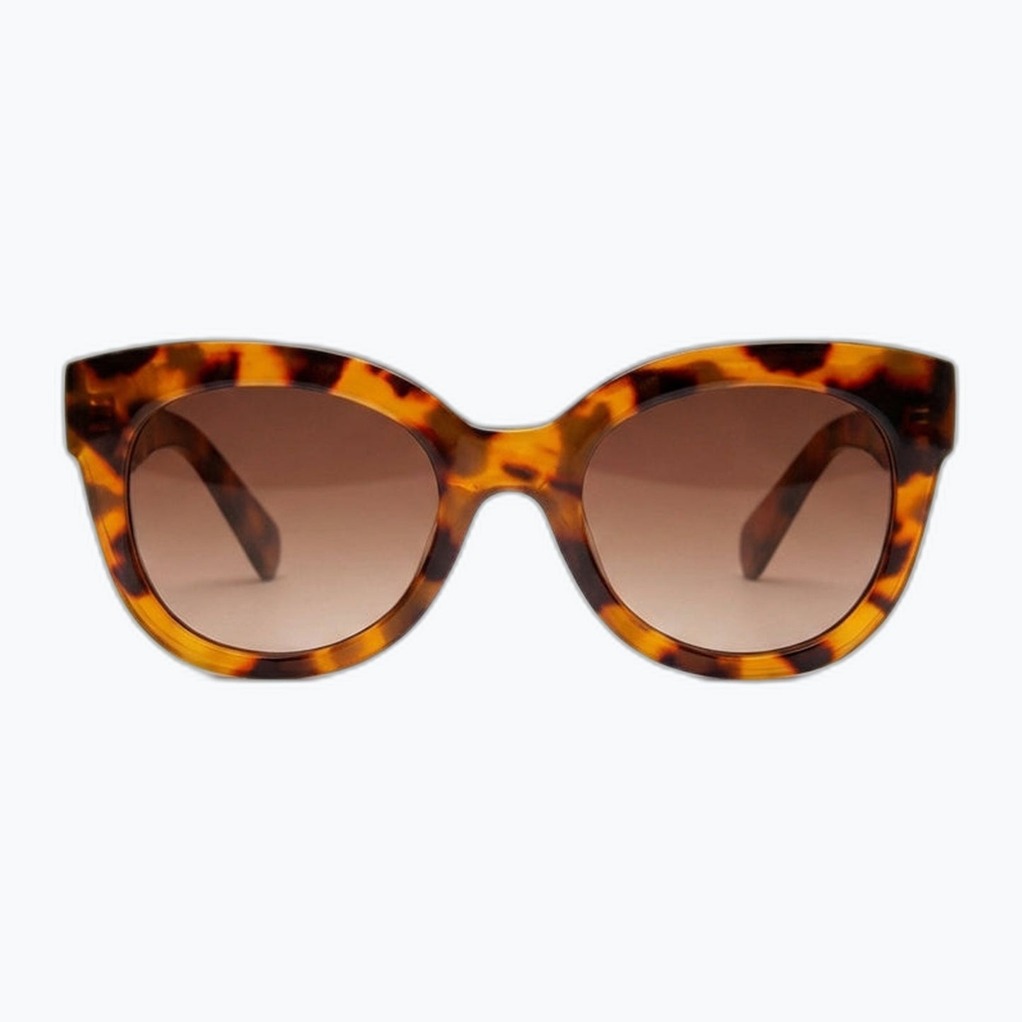 Solstice Jaxy Eyewear