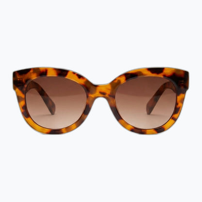 Solstice Jaxy Eyewear
