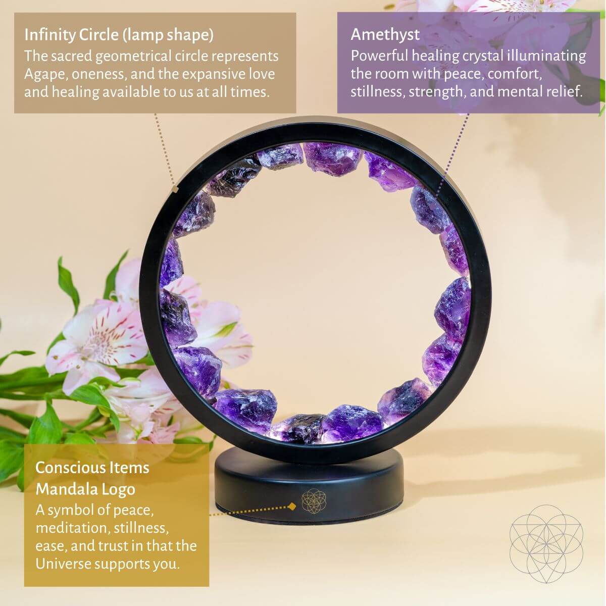 Calm & Abundant Bundle (Best value) Conscious Items