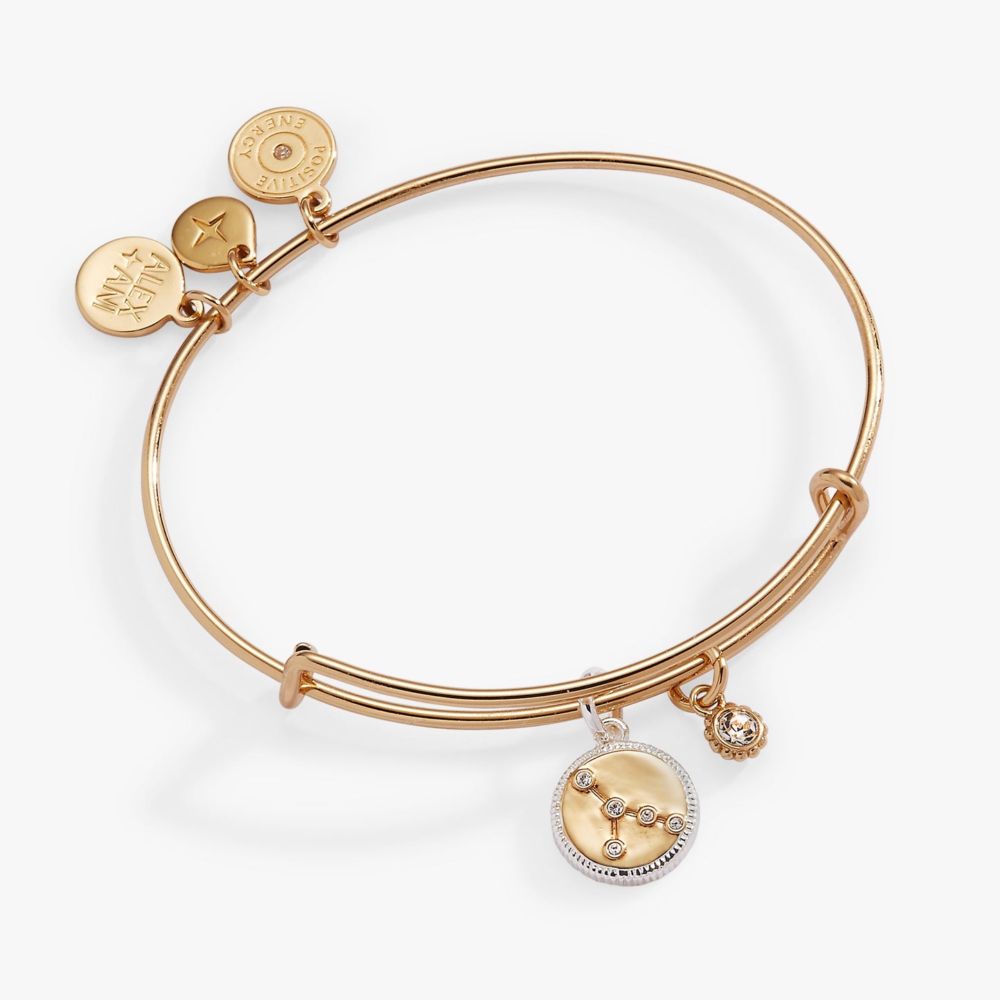 Cancer Zodiac Charm Bangle ALEX AND ANI