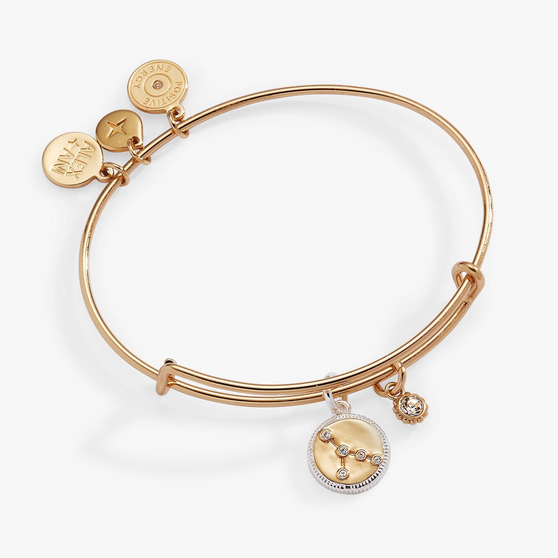 Cancer Zodiac Charm Bangle ALEX AND ANI