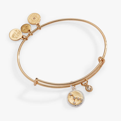Cancer Zodiac Charm Bangle ALEX AND ANI