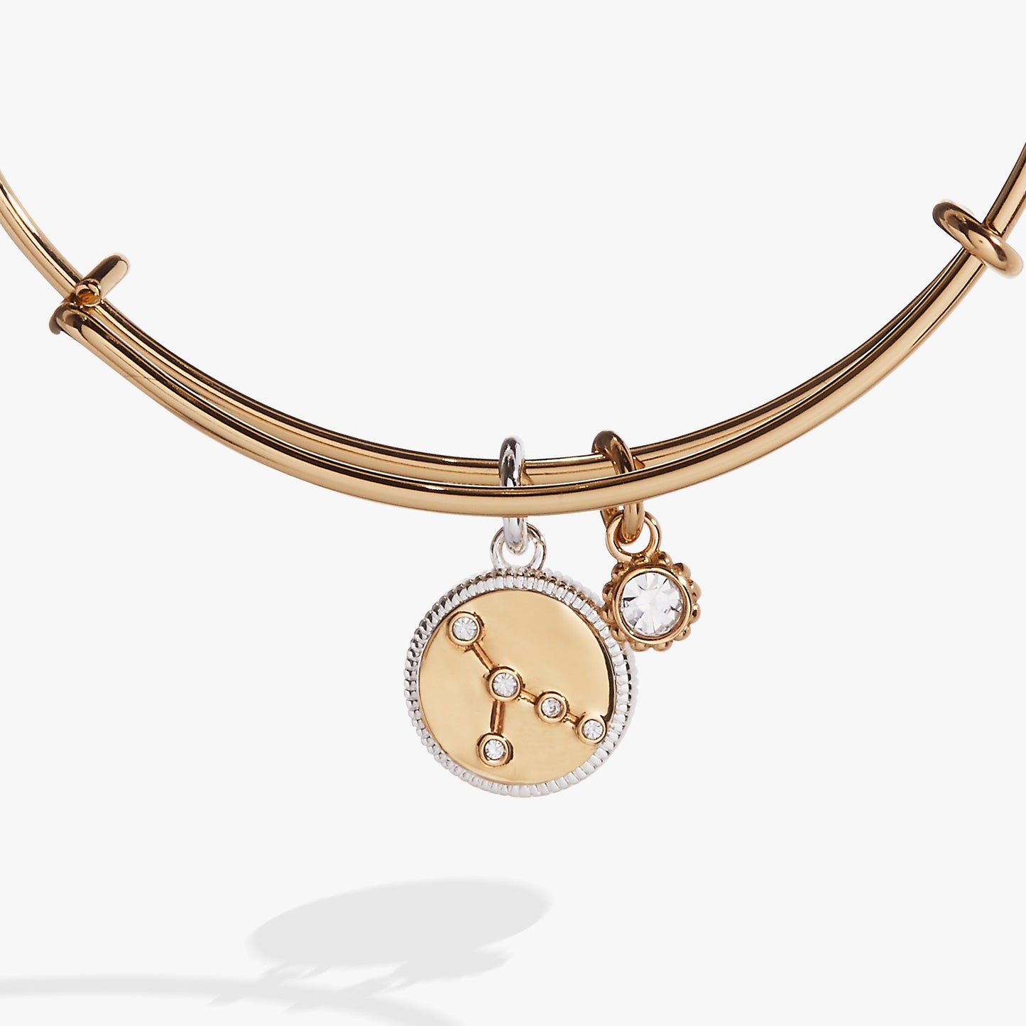 Cancer Zodiac Charm Bangle ALEX AND ANI