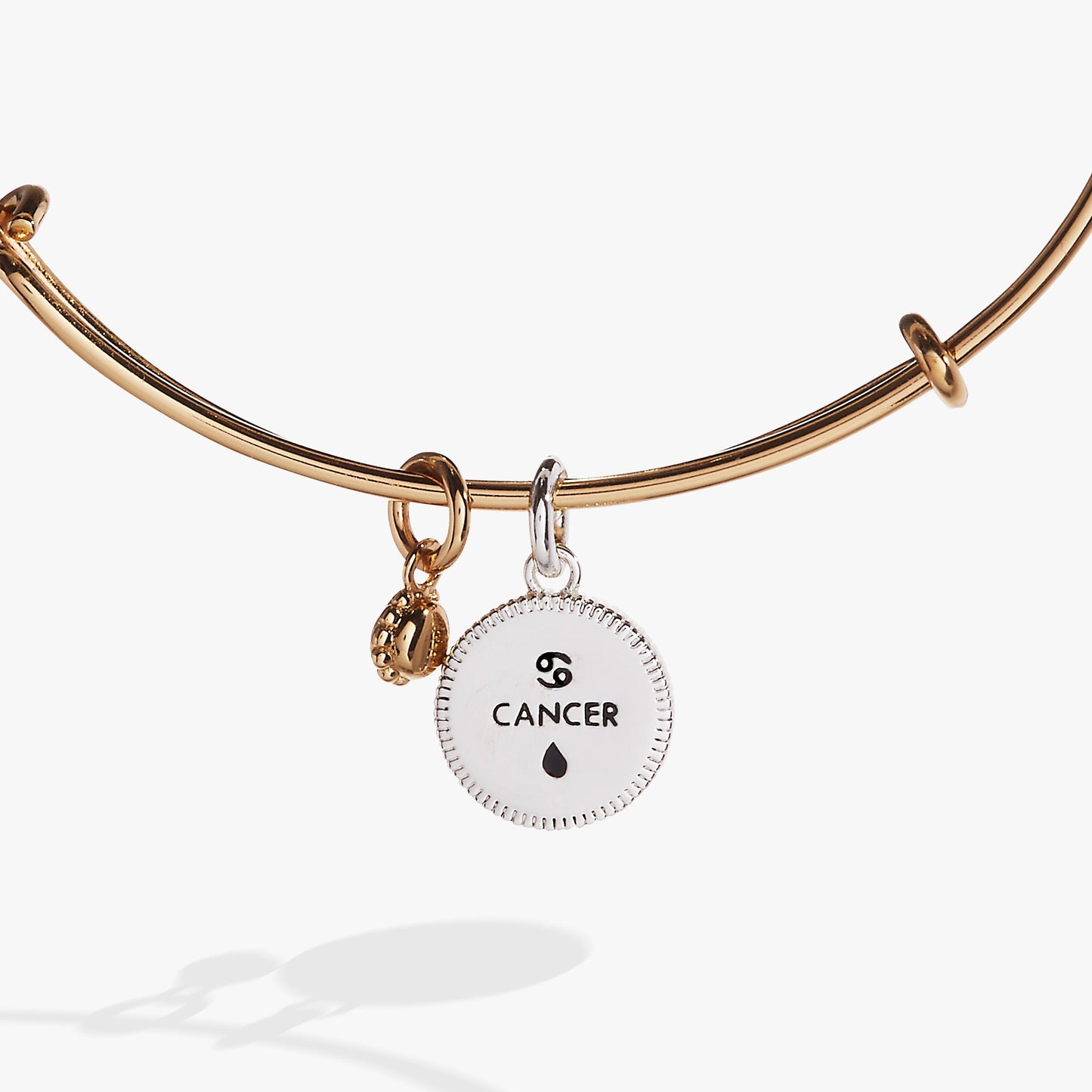 Cancer Zodiac Charm Bangle ALEX AND ANI