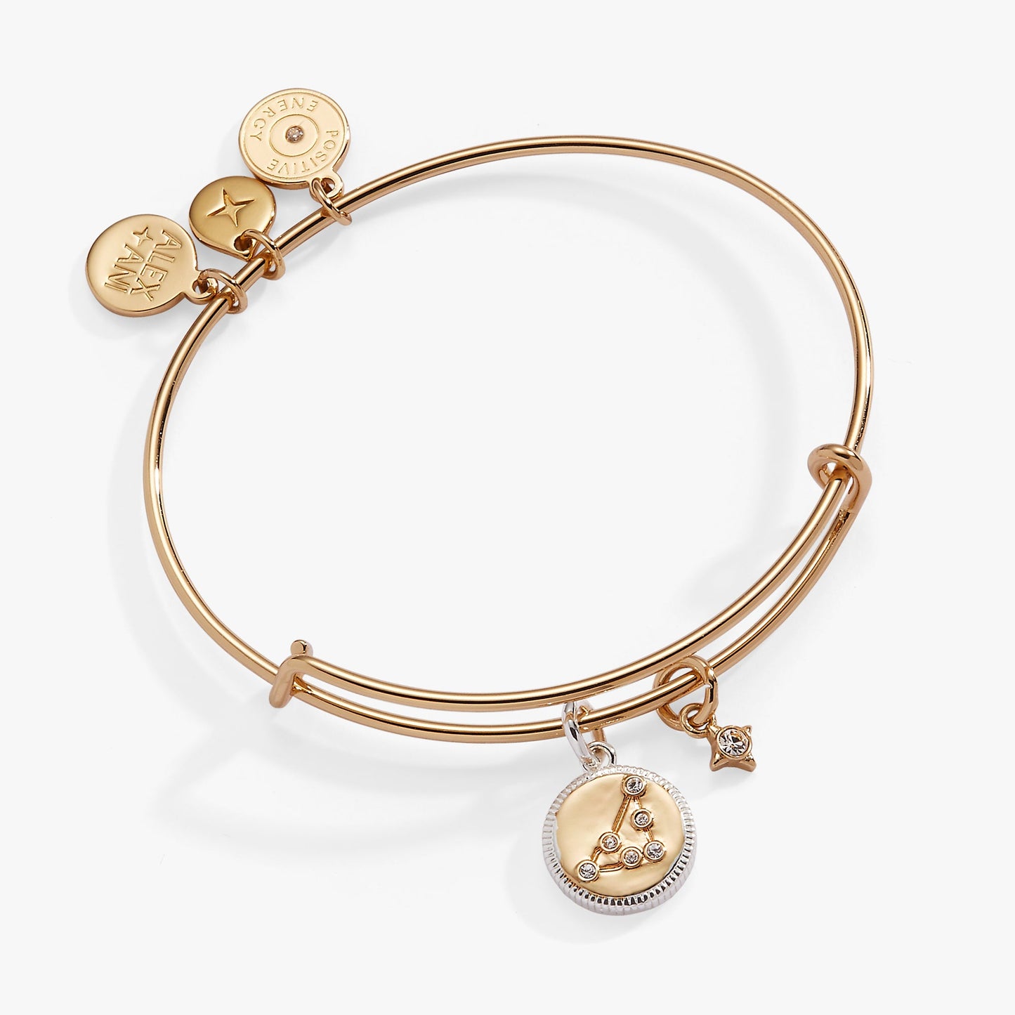 Capricorn Zodiac Charm Bangle ALEX AND ANI