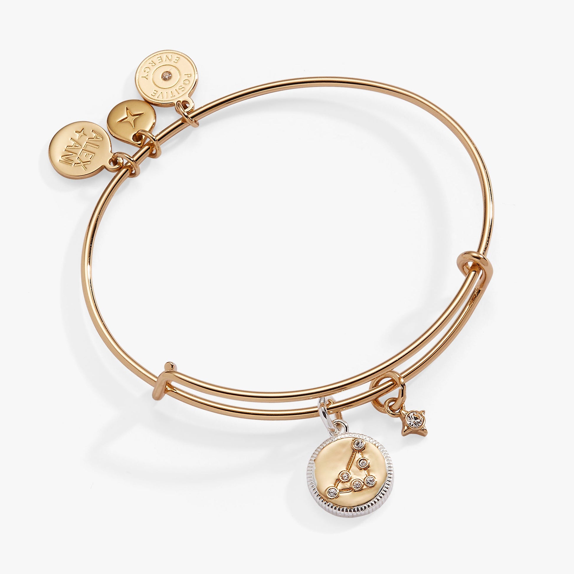 Capricorn Zodiac Charm Bangle ALEX AND ANI