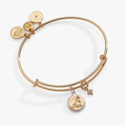 Capricorn Zodiac Charm Bangle ALEX AND ANI