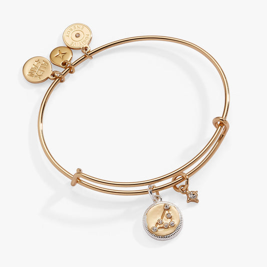 Capricorn Zodiac Charm Bangle ALEX AND ANI