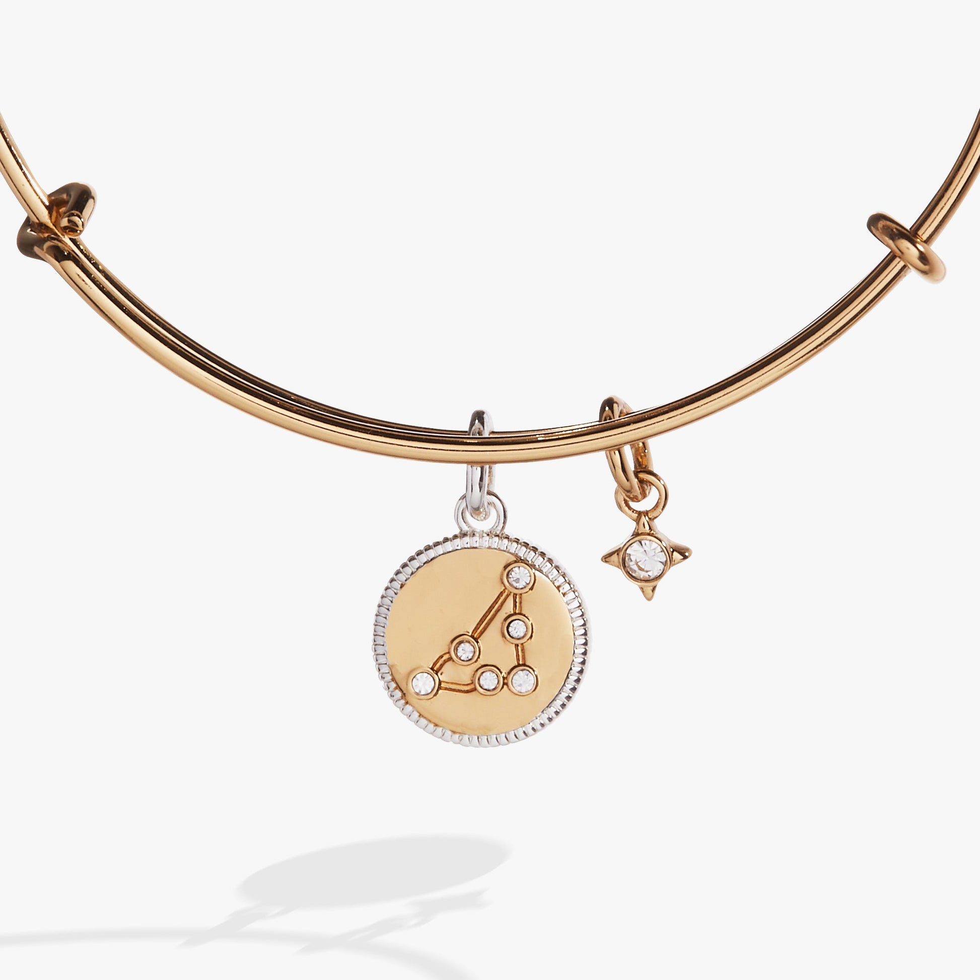 Capricorn Zodiac Charm Bangle ALEX AND ANI