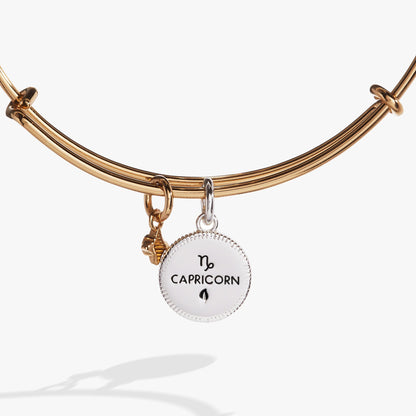 Capricorn Zodiac Charm Bangle ALEX AND ANI