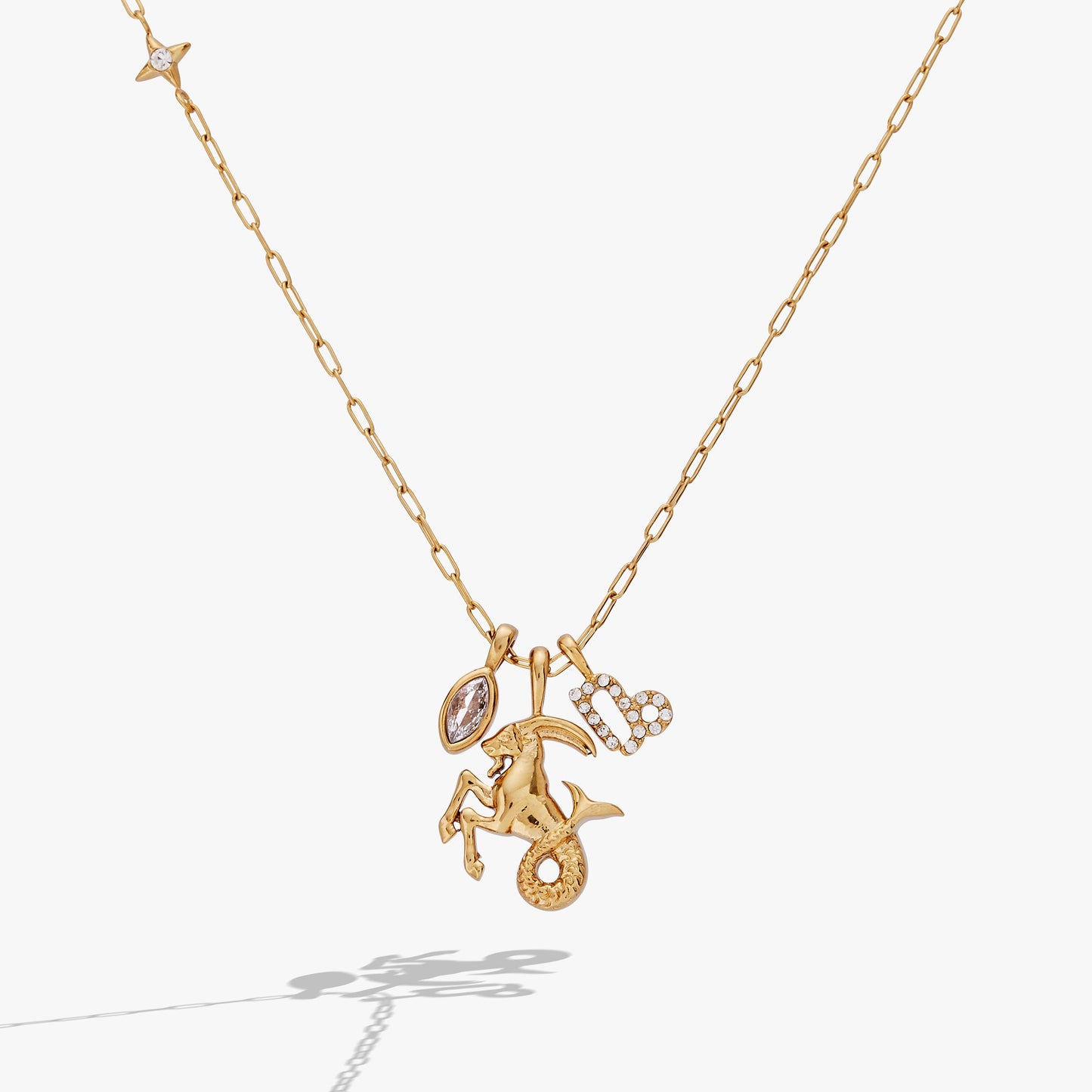 Capricorn Zodiac Charm Cluster Necklace ALEX AND ANI
