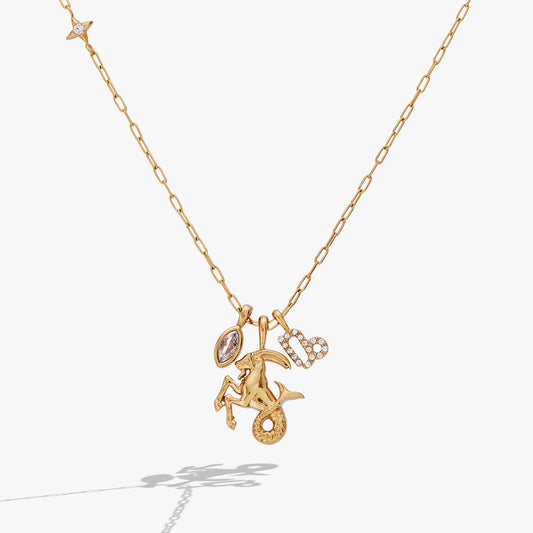 Capricorn Zodiac Charm Cluster Necklace ALEX AND ANI