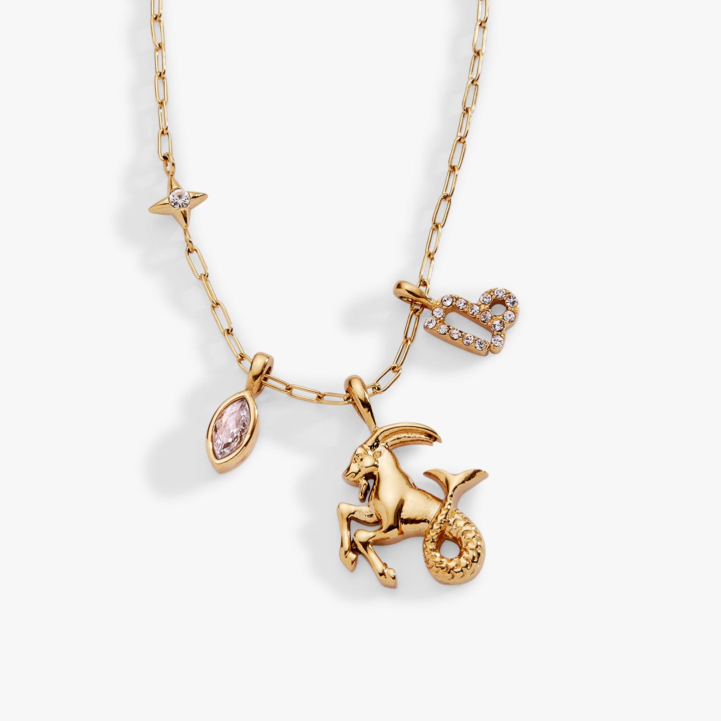 Capricorn Zodiac Charm Cluster Necklace ALEX AND ANI