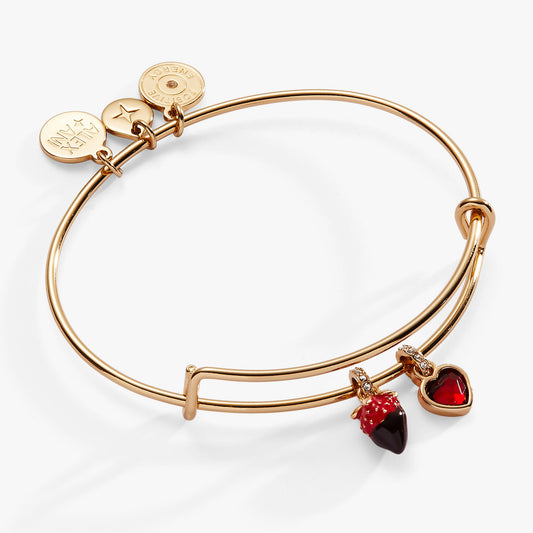 Chocolate-Covered Strawberry Duo Charm Bangle ALEX AND ANI