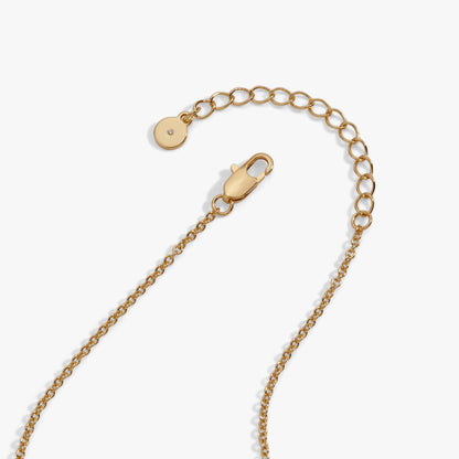 Coffee Bean 'Happiness, Wealth, Health' Engraved Pendant Necklace ALEX AND ANI