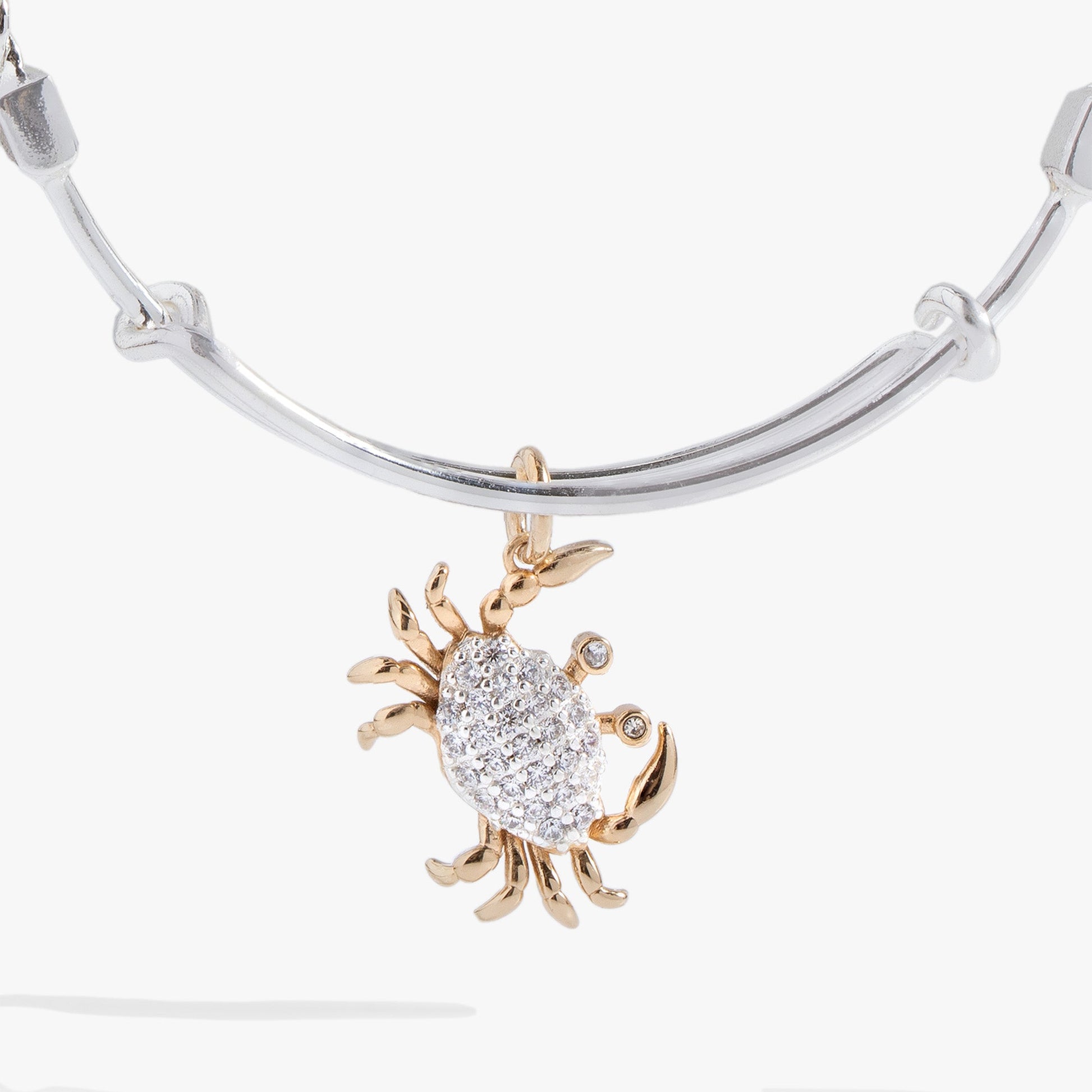 Textured Crab Charm Bangle ALEX AND ANI