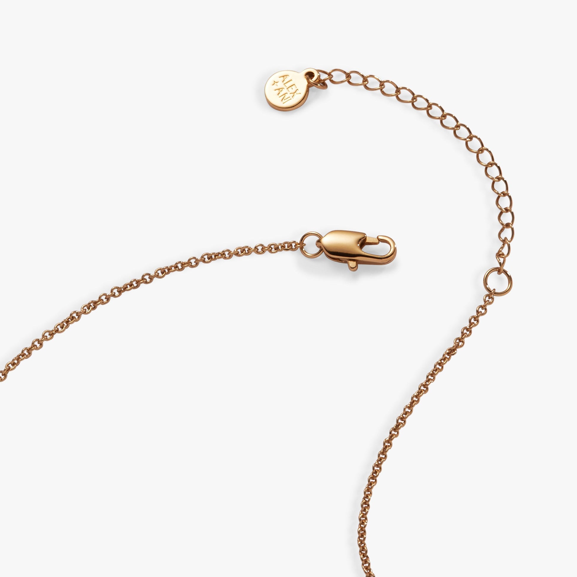 Crescent Moon Necklace ALEX AND ANI